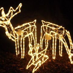 LED Rope Light Reindeer Family Warm White  Indoor and Outdoor Christmas Lights