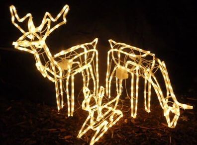 LED Rope Light Reindeer Family Warm White  Indoor and Outdoor Christmas Lights