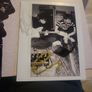 Chalk Crystalpunk dinked edition limited edition with signed polaroid splatter vinyl Image 4
