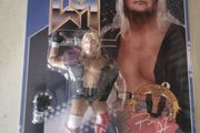 Wrestling Figure Barry Windham Epic Toys