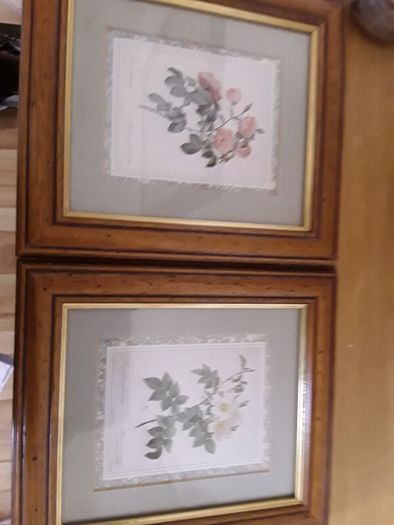 pictures