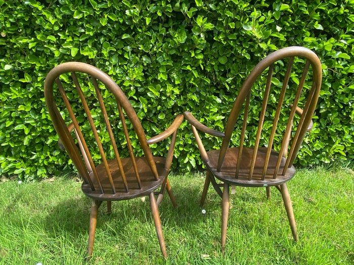 ercol Windsor dining chairs