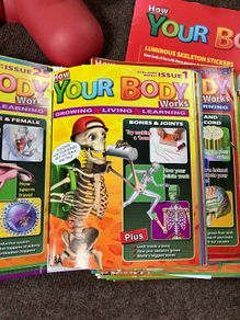 Your body collection with skeleton