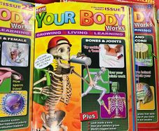 Your body collection with skeleton