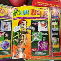 Your body collection with skeleton
