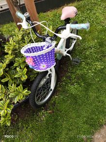 Apollo Butterflies Bike