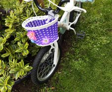 Apollo Butterflies Bike