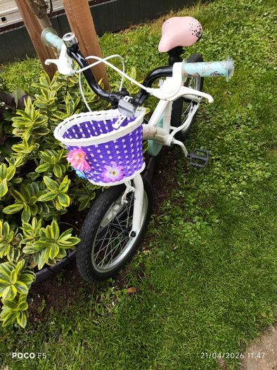 Apollo Butterflies Bike