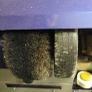 Siserve Mini Power Master Shoe Repair Machine Image 6