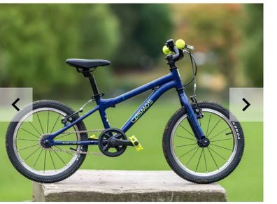Carrera cosmos 16 boys bike