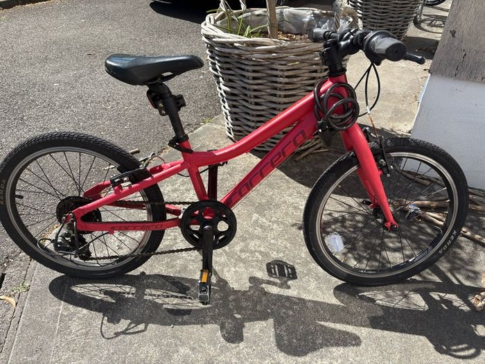 Carrera Saruna 20"