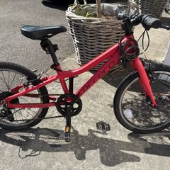 Carrera Saruna 20"