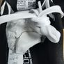 Puma 5UK Image 4