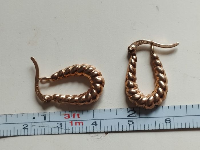 Hoop earrings made of 925 sterling silver with gold plating.