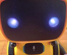 Interactive Smart Robot
