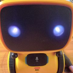 Interactive Smart Robot