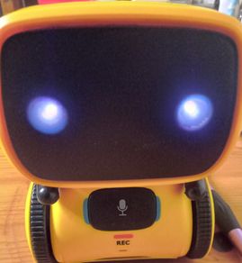 Interactive Smart Robot