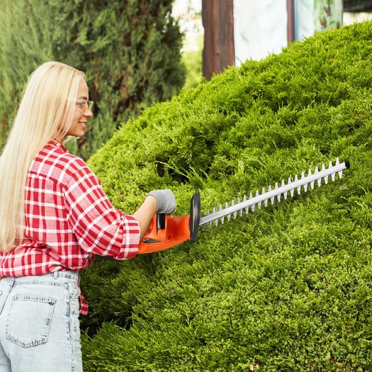Cordless Electric Hedge Trimmer 20V 2A Battery 20in Dual-Action Blade