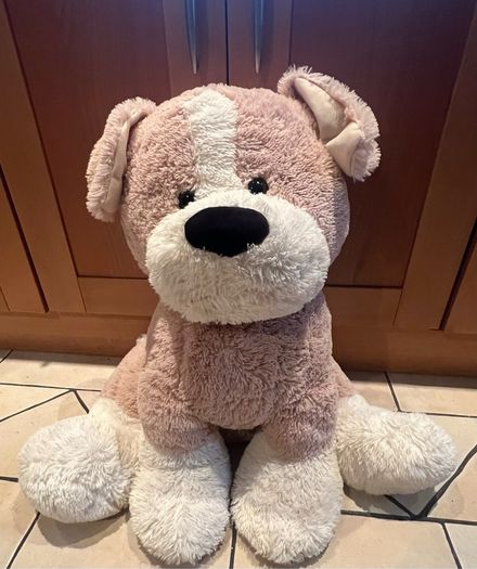 Teddy