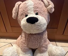 Teddy