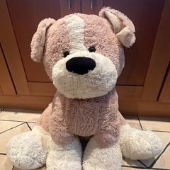 Teddy