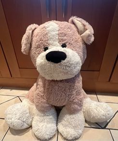 Teddy