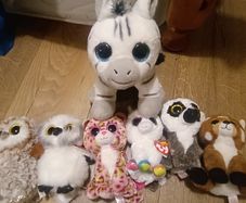 Beanie Boo teddies