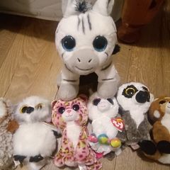 Beanie Boo teddies