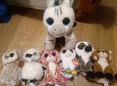 Beanie Boo teddies