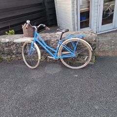 Ladies Bike