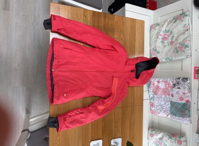 Northface Ski Jacket