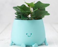 planter pot happy face