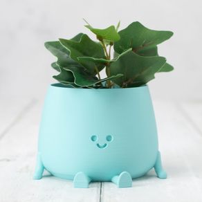 planter pot happy face