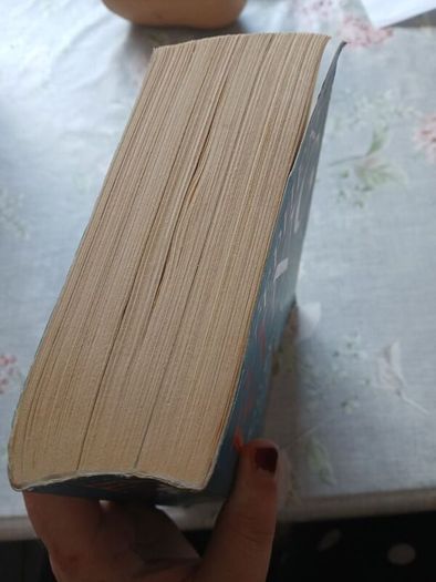 Wolves of the Calla Stephen King Dark Tower V Horror Sci-Fi Fantasy Western Fiction
