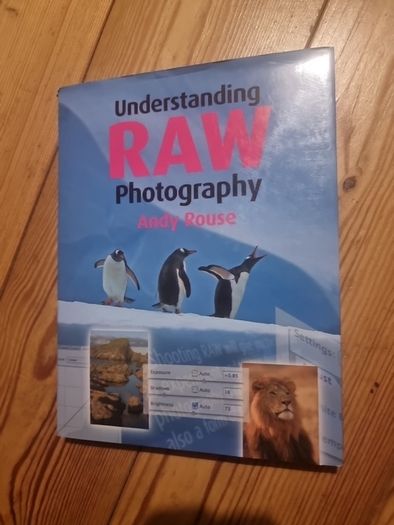 Understanding RAW Photography (Hardcover)