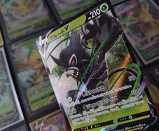 Zarude V ! Double Rare ! from Legendary Heartbeat Set ! 2020 ! Japanese Pokemon Card !