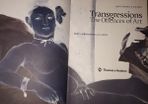 Transgressions. The Offences Of Art by Anthony Julius