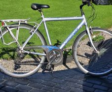 Gents Large Viking Bike..no Offers Read Add