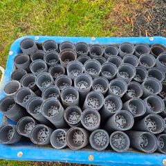 Large amounts of Plastic Garden Plant/ Flower / potting  Pots & OCG