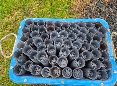 Large amounts of Plastic Garden Plant/ Flower / potting  Pots & OCG