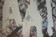 Mouse on Mars AAI 2lp grey vinyl