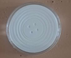 coin capsules