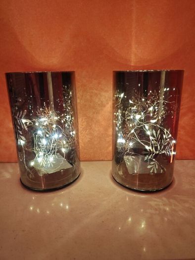 Decorative Winter Lights