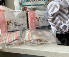 Female Diaper for Dog in Heat