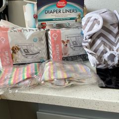 Female Diaper for Dog in Heat