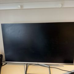 HP Monitor