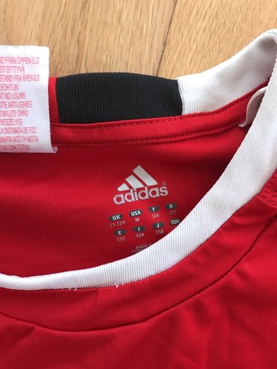Liverpool top age 11-12