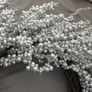 Christmas Wreath in Silver from The Orchard Garden Centre Image 8