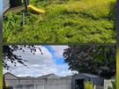 Handyman Available | DIY, Gardening, Painting, Assembly & Tech Help | Naas Image 2
