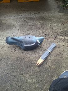 pigion decoys